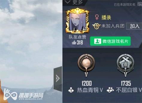 和平精英辅助【内部G简洁版】